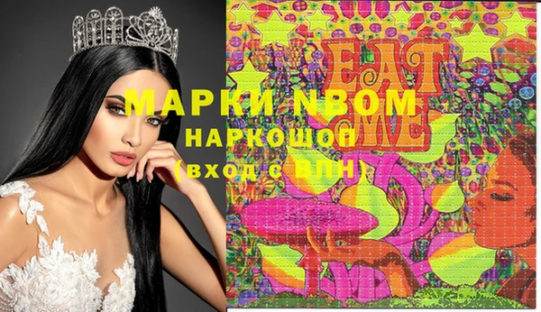 хмурый Арсеньев
