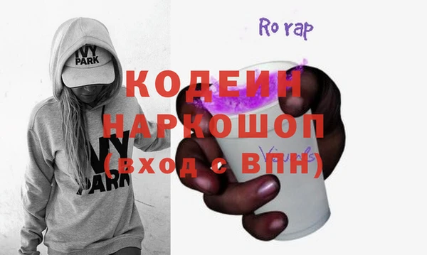 хмурый Арсеньев