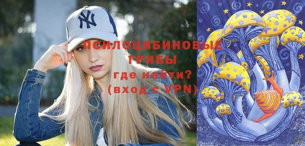 хмурый Арсеньев