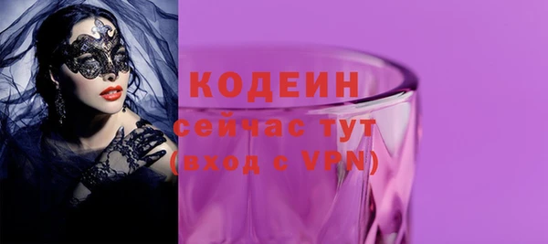 хмурый Арсеньев