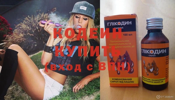 хмурый Арсеньев