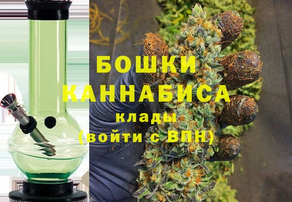 хмурый Арсеньев