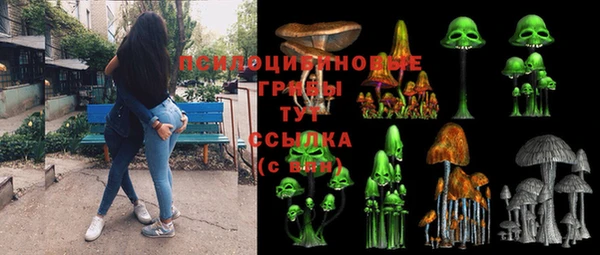 молекула духа Россошь