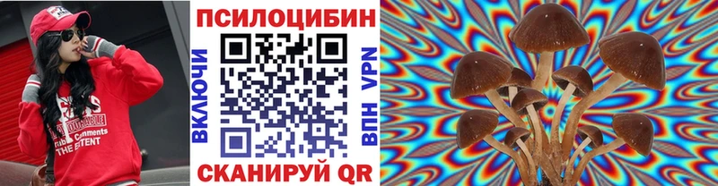 гидра ONION  Навашино  Псилоцибиновые грибы MAGIC MUSHROOMS  хочу наркоту 